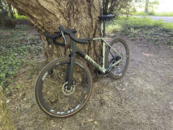 Used Canyon Grail CF SLX 8 AXS 2024 2024 Road & Gravel, Green — image 2 of 3