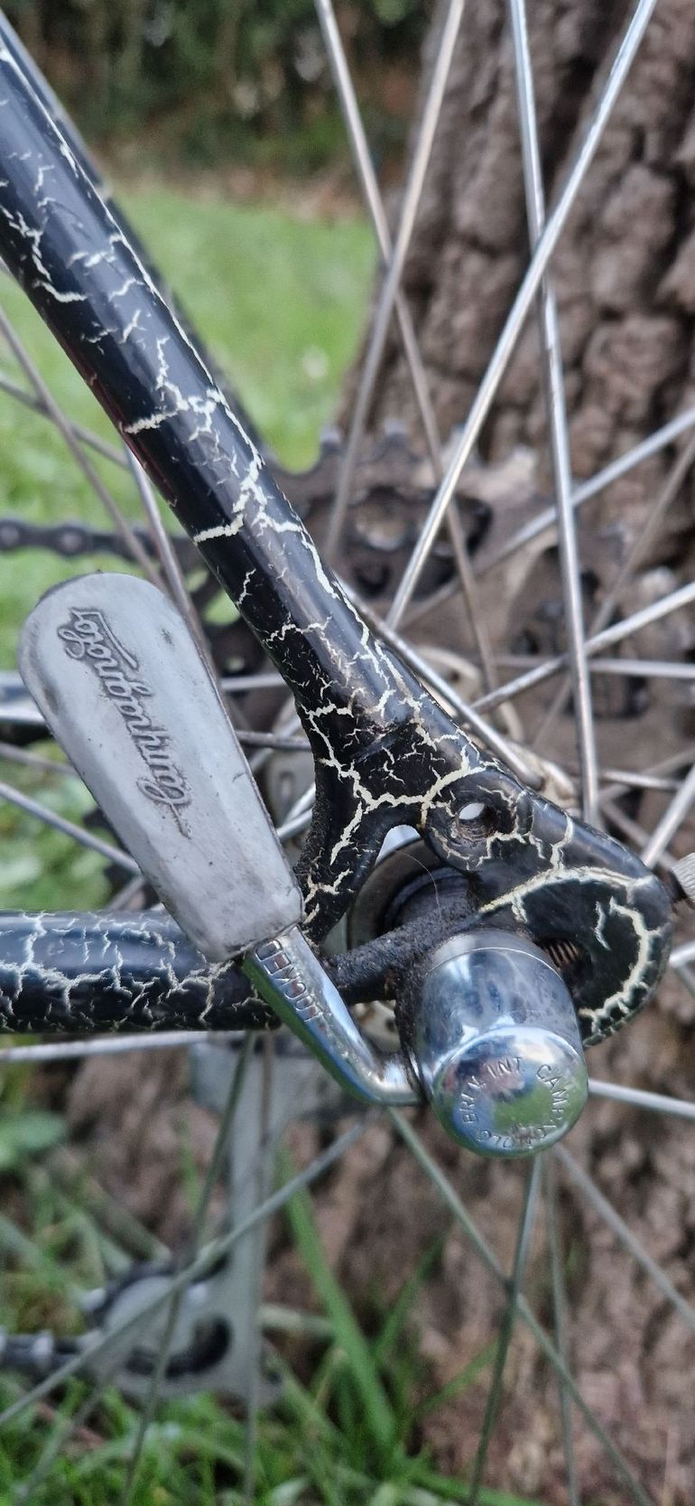 Used Answer free Answer free Custom Campagnolo Ekar 1989 Mountainbike — image 8 of 17