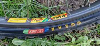 Used Answer free Answer free Custom Campagnolo Ekar 1989 Mountainbike — image 7 of 17