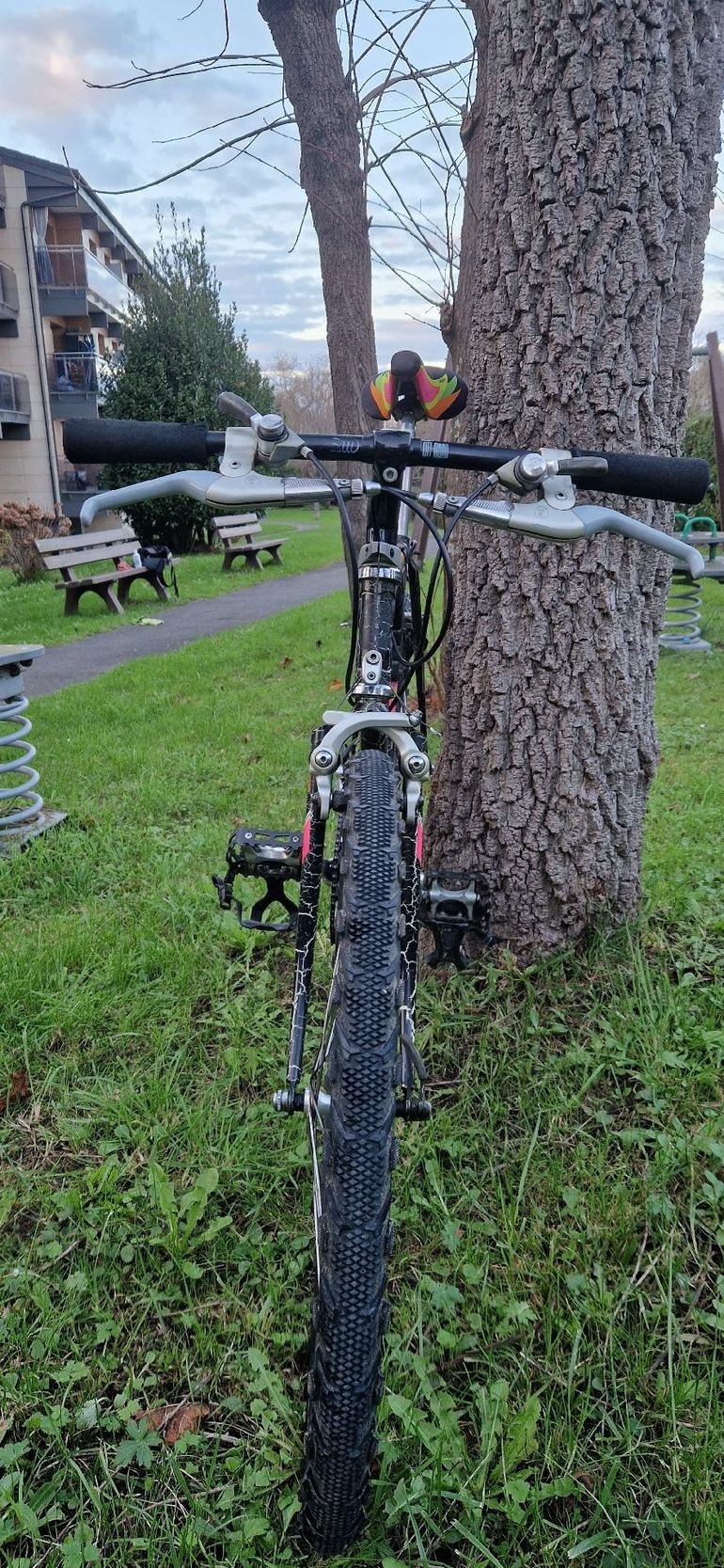 Used Answer free Answer free Custom Campagnolo Ekar 1989 Mountainbike — image 4 of 17