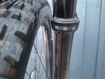 Used Giant Reign 29 2 2021 2021 Mountainbike, Black, 29 — image 13 of 13
