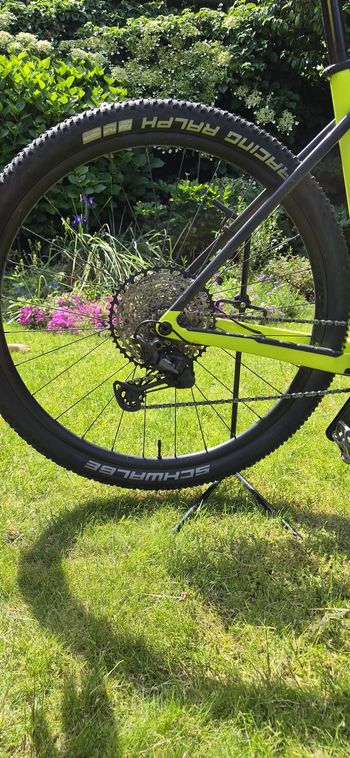Used Trek Procaliber 9.6 2023 2023 Mountainbike, Schwarz, 29 — image 14 of 15