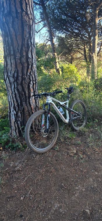 Used Specialized Epic SRAM GX Eagle 2020 Mountainbike, White — image 2 of 3