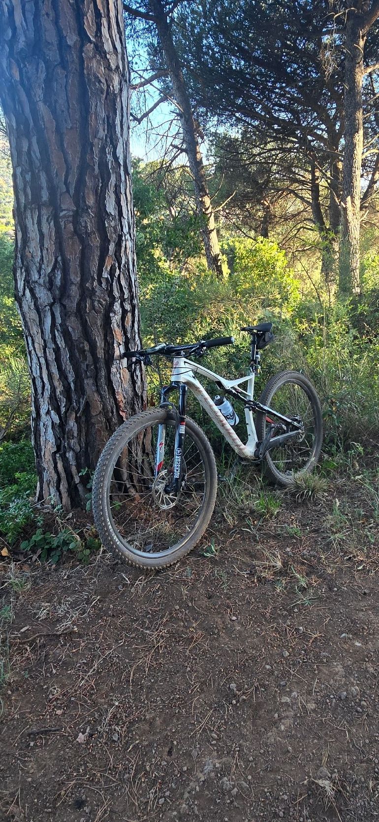Used Specialized Epic SRAM GX Eagle 2020 Mountainbike, White — image 2 of 3