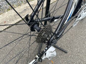 Used Flanders Flanders SR1 2013 Road & Gravel — image 6 of 22