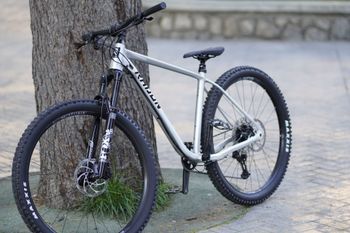 Used Radon CRAGGER 7.0 2024 2024 Mountainbike, Hellgrau, 29 — image 2 of 5