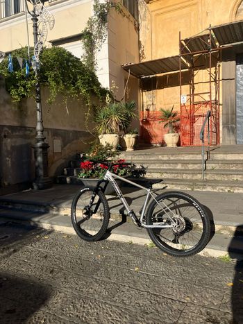 Used Radon CRAGGER 7.0 2024 2024 Mountainbike, Hellgrau, 29 — image 5 of 5