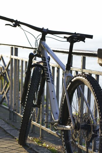 Used Radon CRAGGER 7.0 2024 2024 Mountainbike, Hellgrau, 29 — image 4 of 5