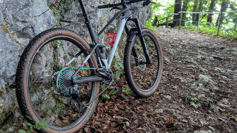 Used Mondraker F-PODIUM CARBON DC RR 2023 2023 Mountainbike, Light Gray, 29 — image 3 of 15