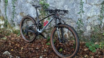 Used Mondraker F-PODIUM CARBON DC RR 2023 2023 Mountainbike, Light Gray, 29 — image 4 of 15
