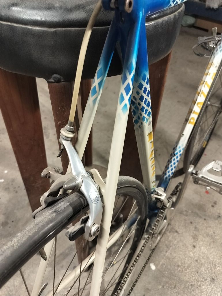 Used Stelbel Stelbel Custom Campagnolo Chorus 1981 Road & Gravel, White — image 12 of 12