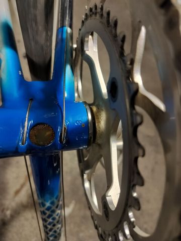 Used Stelbel Custom Campagnolo Chorus 1981 Road & Gravel, White — image 11 of 12