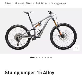 Used Specialized Stumpjumper 15 Fox Coil Alloy 2025 2025 Mountainbike, Light Gray, 29, 27.5 — image 3 of 3