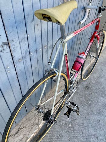 Used Colnago Master Campagnolo Super Record 1988 Road & Gravel — image 15 of 17