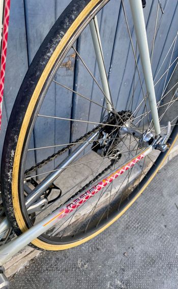 Used Colnago Master Campagnolo Super Record 1988 Road & Gravel — image 9 of 17