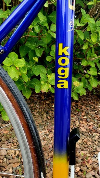 Used koga miyata Koga miyata Custom Shimano 105 1990 Road & Gravel — image 6 of 23