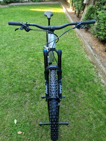 Used Canyon Torque 29 AL 6 2022 2022 Mountainbike — image 5 of 6