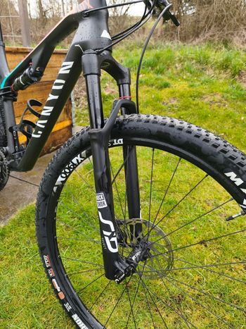 Used Canyon Lux CF SL 6.0 2020 2020 Mountainbike, Schwarz, 29 — image 5 of 5