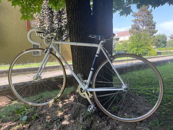 Used Fuchs Fuchs Custom Other 2019 Road & Gravel — image 4 of 21