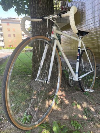 Used Fuchs Fuchs Custom Other 2019 Road & Gravel — image 12 of 21