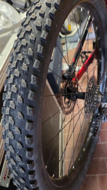 Used Olympia Evo Shimano Deore 2022 MTB
