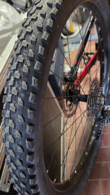Used Olympia Evo Shimano Deore 2022 MTB