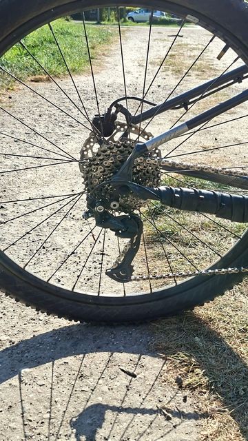 Used Cannondale Trail Shimano Alivio 2025 Mountainbike, Light Gray — image 3 of 4