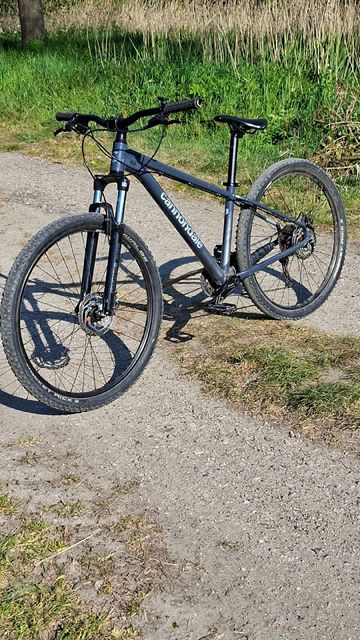 Used Cannondale Trail Shimano Alivio 2025 Mountainbike, Light Gray — image 2 of 4