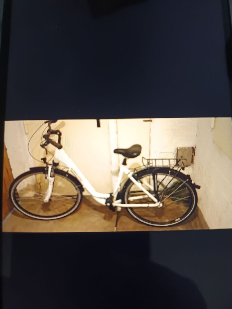 Used WINORA Bike WINORA Bike Custom Urban, White — image 1 of 10