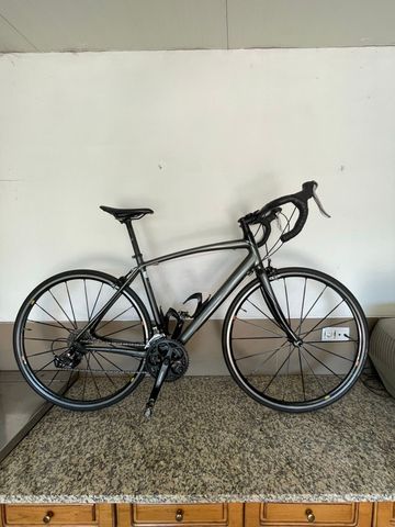 Used Specialized Secteur Triple 2010 2010 Road & Gravel, Light Gray — image 2 of 20