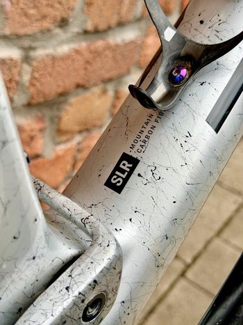 Used Trek Supercaliber SLR 9.9 XX AXS Gen 2 2024 2024 Mountainbike, Light Gray, 29 — image 17 of 19