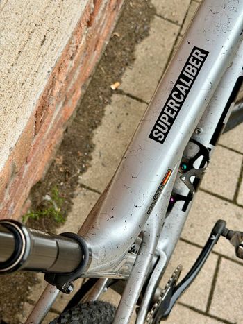 Used Trek Supercaliber SLR 9.9 XX AXS Gen 2 2024 2024 Mountainbike, Light Gray, 29 — image 13 of 19