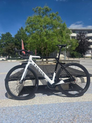 Used Canyon Ultimate CF SL 7 2024 2024 Road & Gravel — image 2 of 9