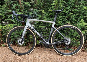 Used Specialized Tarmac SL7 Expert 2021 2021 Road & Gravel, Light Gray — image 2 of 4