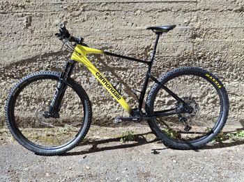 Used Cannondale Scalpel HT Carbon 3 2024 2024 Mountainbike, Black, 29 — image 5 of 5