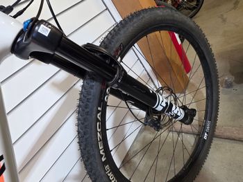Used Canyon Exceed CF 6 2023 2023 Mountainbike, Weiß, 29 — image 5 of 10