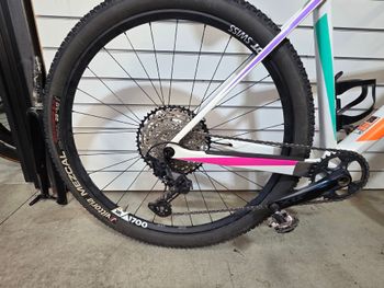 Used Canyon Exceed CF 6 2023 2023 Mountainbike, Weiß, 29 — image 2 of 10