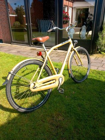 Used Gazelle Gazelle Limited Edition NOC*NSF Partners In Sport Urban, Orange — image 6 of 15