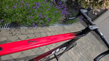 Used Cervélo S3 Ultegra Disc 2019 2019 Road & Gravel — image 9 of 15