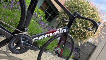 Used Cervélo S3 Ultegra Disc 2019 2019 Road & Gravel — image 4 of 15