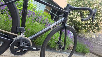 Used Liv Langma Advanced Pro Disc 1 AR 2024 2024 Road & Gravel — image 4 of 16