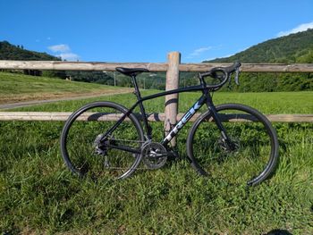 Used Trek Domane AL 2 Gen 4 2024 2024 Road & Gravel