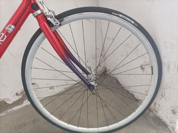 Used Cannondale Cannondale Custom Shimano Ultegra 1995 Road & Gravel — image 5 of 11
