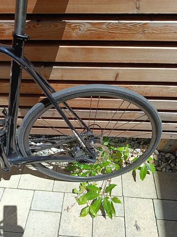 Used Merida Scultura Bahrain McLaren XL Merida Scultura Bahrain McLaren XL Custom Shimano Ultegra 2022 Road & Gravel, Orange — image 14 of 16