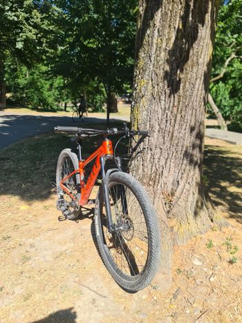 Used Scott Scale Other Shimano - Mountainbike 2025 Mountainbike, Red — image 5 of 5