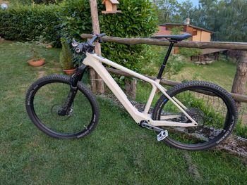 Used Rose Bonero Plus 3 2025 2025 Mountainbike, White, 29 — image 2 of 8