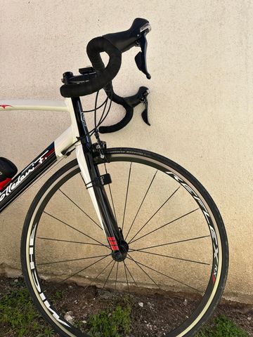 Used Colledani Franco Custom Shimano 105 2021 Road & Gravel, White — image 12 of 12