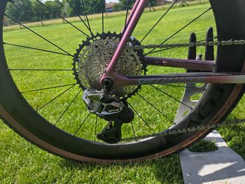 Used Specialized Crux 10r Frameset 2026 2026 Road & Gravel, Green — image 2 of 6