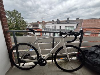 Used Trek Domane SL 5 2022 2022 Road & Gravel