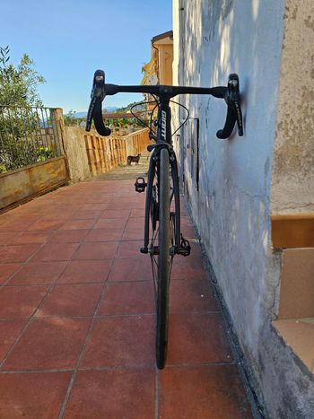 Used Giant TCR Advanced Pro 0 2020 2020 Road & Gravel, Black — image 5 of 8
